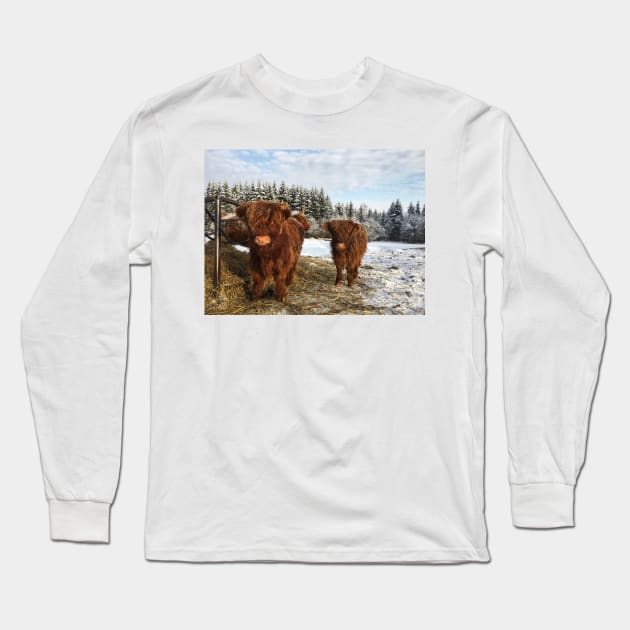 Scottish Highland Cattle Calves 1664 Long Sleeve T-Shirt by SaarelaHighland